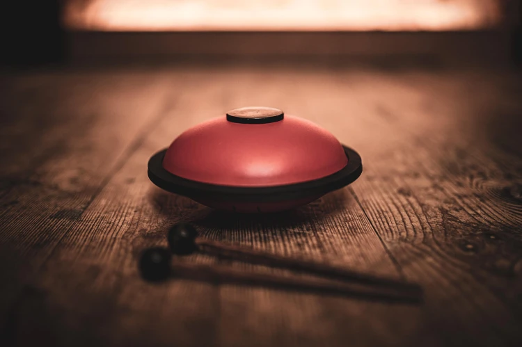 NINO-Percussion-Mini-Melody-Steel-Tongue-Drum-rot-NINO980R_3a9ad76.jpg