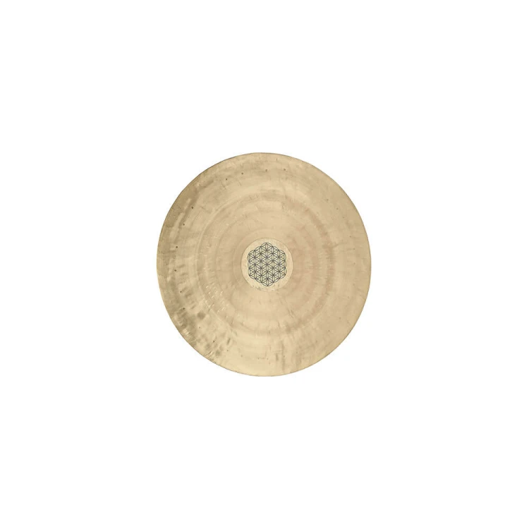 MEINL-Sonic-Energy-Wind-Gong-Flower-of-Life-20-50-cm-WGFOL20_9c6ecce.jpg