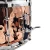 snare grv 1.webp