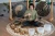 SKH 11_11zon.webp