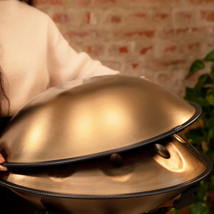 meinl-handpan-stainless-steel-d-amara-9-notes-440h