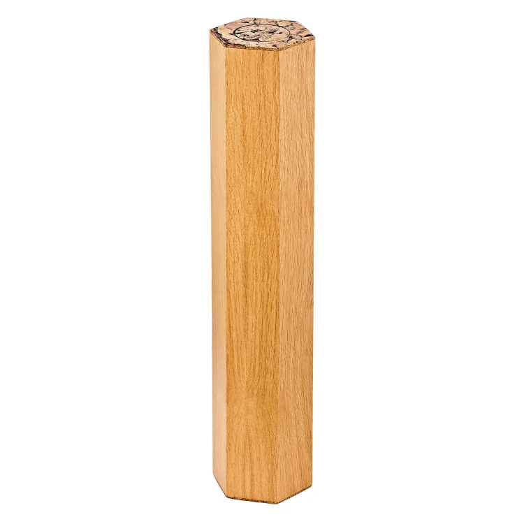 meinl-sonic-energy-oak-rainmaker-5-min